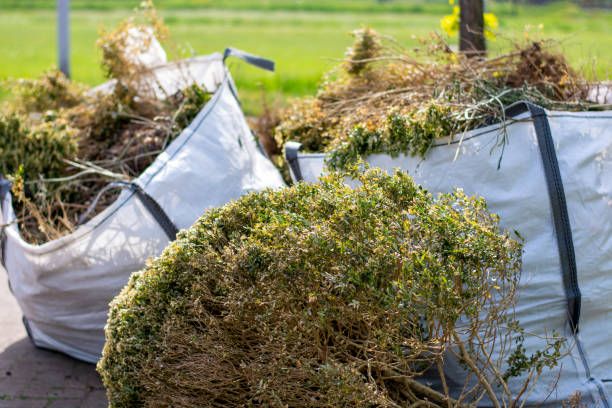 Best Junk Removal Near Me  in Niantic, CT